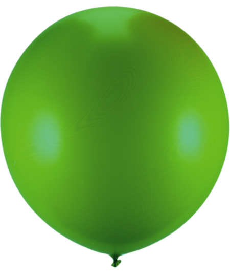 Custom Giant Balloons with Picture